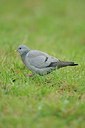 BUITEN BEELD Foto: 161337