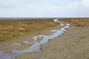 BUITEN BEELD Foto: 161371