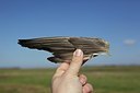 BUITEN BEELD Foto: 161380