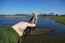 BUITEN BEELD Foto: 161399