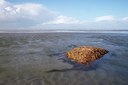BUITEN BEELD Foto: 161412