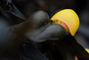 BUITEN BEELD Foto: 161468