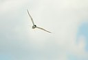 BUITEN BEELD Foto: 161508