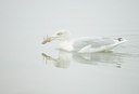 BUITEN BEELD Foto: 161543