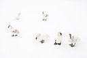 BUITEN BEELD Foto: 161561