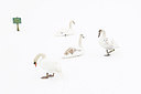 BUITEN BEELD Foto: 161563