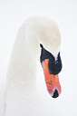 BUITEN BEELD Foto: 161569
