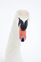 BUITEN BEELD Foto: 161571