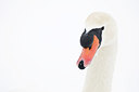 BUITEN BEELD Foto: 161574