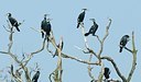 BUITEN BEELD Foto: 161604