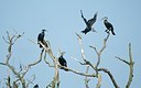 BUITEN BEELD Foto: 161609
