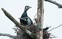 BUITEN BEELD Foto: 161610
