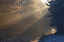BUITEN BEELD Foto: 161676