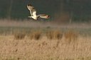 BUITEN BEELD Foto: 161732