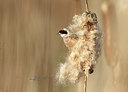 BUITEN BEELD Foto: 161767