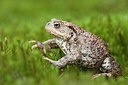 BUITEN BEELD Foto: 161775