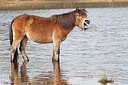 BUITEN BEELD Foto: 161815