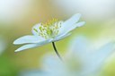 BUITEN BEELD Foto: 162029