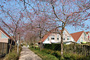 BUITEN BEELD Foto: 162044