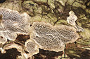 BUITEN BEELD Foto: 162098