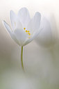 BUITEN BEELD Foto: 162099