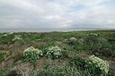 BUITEN BEELD Foto: 162171