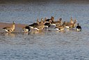 BUITEN BEELD Foto: 162205
