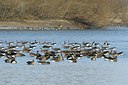 BUITEN BEELD Foto: 162214