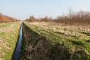 BUITEN BEELD Foto: 162350