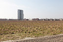 BUITEN BEELD Foto: 162353