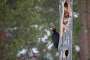 BUITEN BEELD Foto: 162373