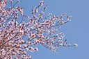 BUITEN BEELD Foto: 162401