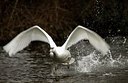BUITEN BEELD Foto: 162462
