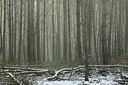 BUITEN BEELD Foto: 162470