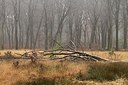BUITEN BEELD Foto: 162475