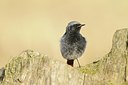 BUITEN BEELD Foto: 162519