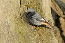 BUITEN BEELD Foto: 162526