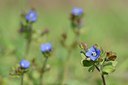 BUITEN BEELD Foto: 162542