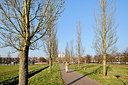 BUITEN BEELD Foto: 162605