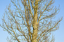 BUITEN BEELD Foto: 162606