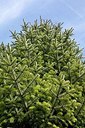 BUITEN BEELD Foto: 162616
