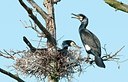 BUITEN BEELD Foto: 162650