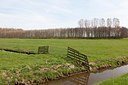 BUITEN BEELD Foto: 162663