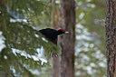 BUITEN BEELD Foto: 162694