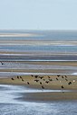 BUITEN BEELD Foto: 162713