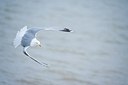 BUITEN BEELD Foto: 162740