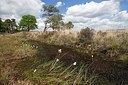 BUITEN BEELD Foto: 162770