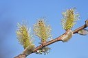 BUITEN BEELD Foto: 162828