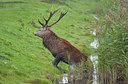 BUITEN BEELD Foto: 162873