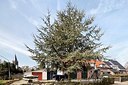 BUITEN BEELD Foto: 162961